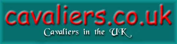 Cavaliers.co.uk