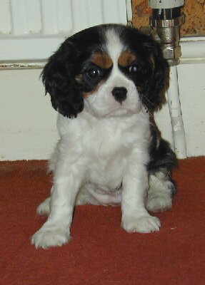 Cherie at 6 weeks