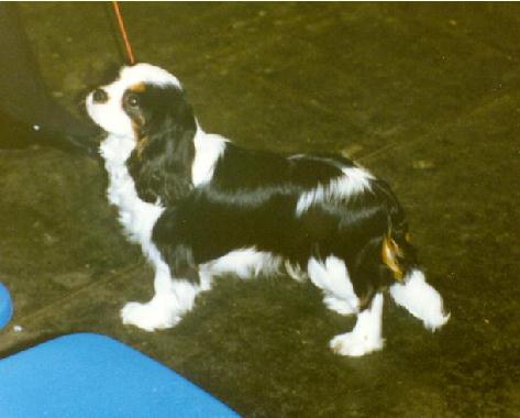 Millhill Honeybet Ensemble