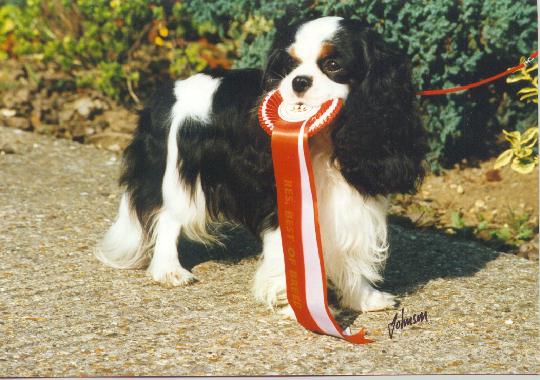 Millhill Honeybet Ensemble