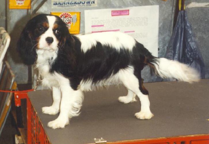 George in Junior class