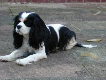 Susan in 2000