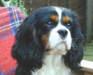 Ted at 10 months
