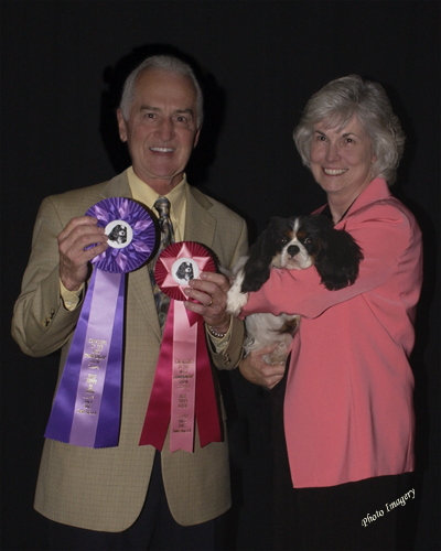 Winning BPIS at CKCSC San Jose Show